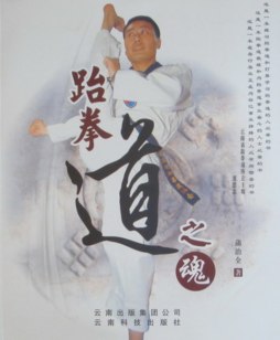 跆拳道之魂封面图