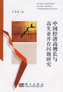 中国经济高增长与高失业并存问题研究封面图