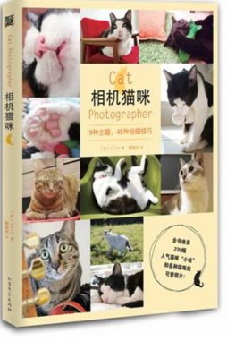 相机猫咪封面图