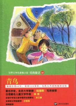 青鸟封面图