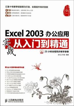 Excel 2003办公应用实战从入门到精通封面图