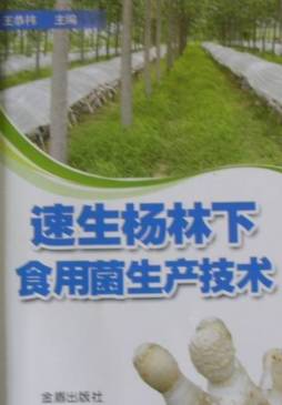 速生杨林下食用菌生产技术封面图