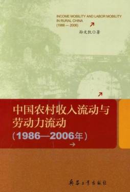 中国农村收入流动与劳动力流动封面图