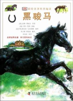 黑骏马封面图