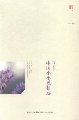 2014年中国小小说精选封面图