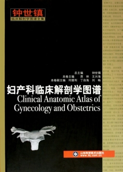妇产科临床解剖学图谱封面图