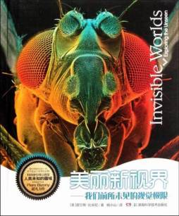 美丽新视界封面图