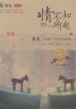 深爱·情不知所起封面图