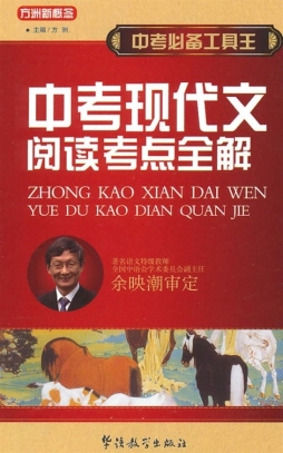 中考现代文阅读考点全解封面图