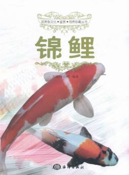 锦鲤封面图