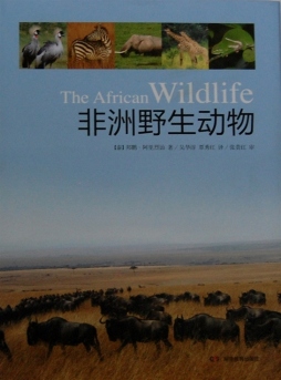 非洲野生动物封面图