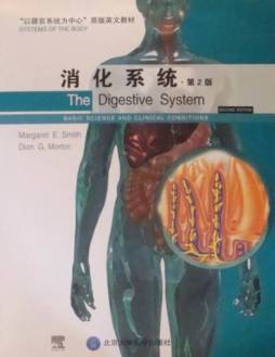 消化系统封面图