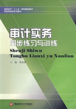 审计实务同步练习与训练封面图
