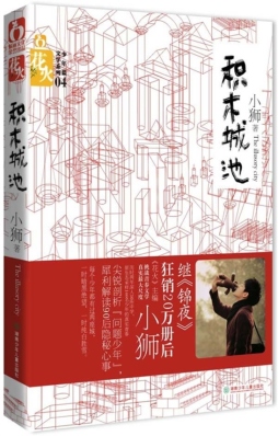 积木城池封面图