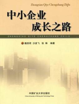 中小企业成长之路封面图