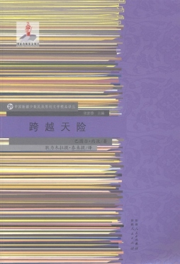 跨越天险封面图