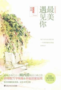 最美遇见你封面图