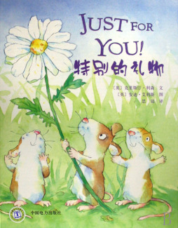 特别的礼物封面图