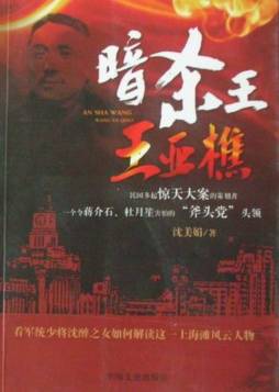 暗杀王——王亚樵封面图