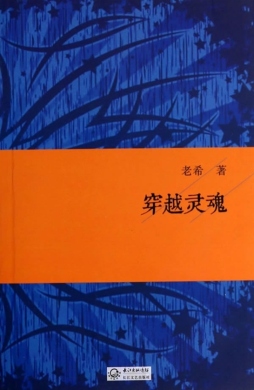 穿越灵魂封面图