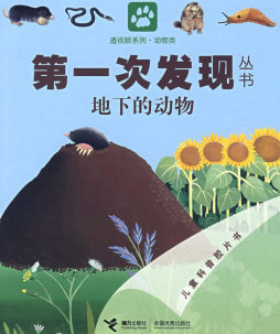 第一次发现丛书封面图
