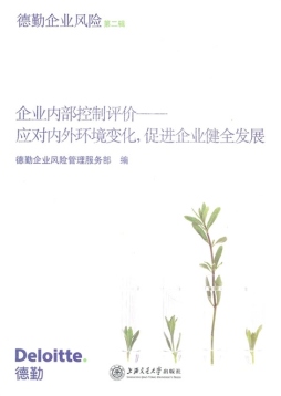 企业内部控制评价封面图