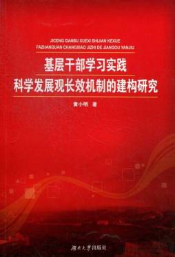 基层干部学习实践科学发展观长效机制的建构研究封面图