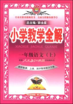 小学教学全解封面图