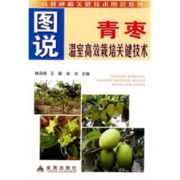 图说青枣温室高效栽培关键技术封面图