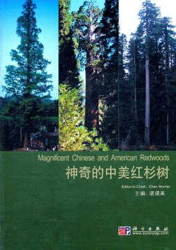 神奇的中美红杉树封面图