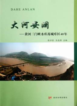 大河安澜封面图