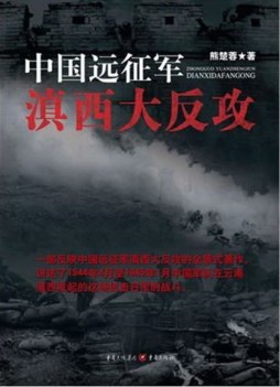 中国远征军滇西大反攻封面图