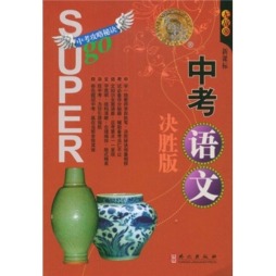 无敌中考语文封面图