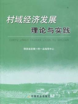 村域经济发展理论与实践封面图