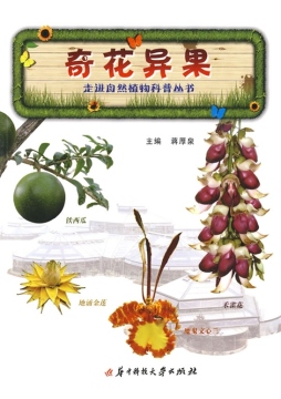 奇花异果封面图