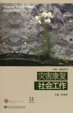 灾害康复社会工作封面图
