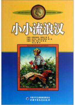 小小流浪汉封面图