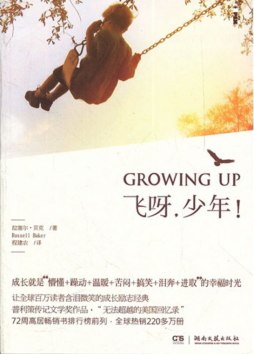 飞呀，少年!封面图