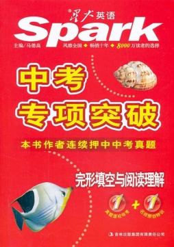 中考专项突破封面图