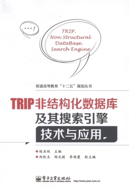 TRIP非结构化数据库及其搜索引擎技术与应用封面图