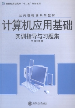 计算机应用基础实训指导与习题集封面图