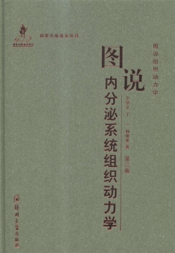 图说内分泌系统组织动力学封面图