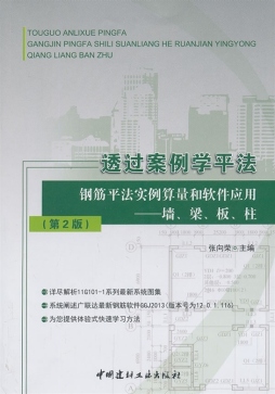 透过案例学平法封面图