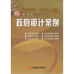 政府审计案例封面图
