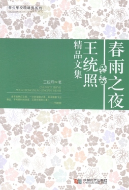 春雨之夜封面图