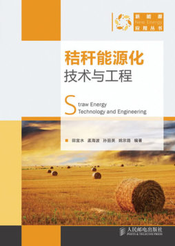 秸秆能源化技术与工程封面图