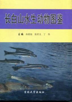 长白山水生动物图鉴封面图