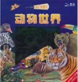 奇幻电筒书封面图