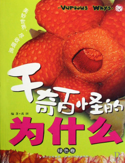 千奇百怪的为什么封面图