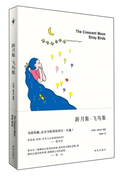 新月集·飞鸟集封面图